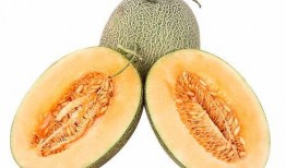 新疆爷爷吃哈密瓜,哈密瓜的诱惑之旅