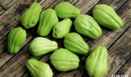 吃瓜每日一图,揭秘娱乐圈幕后故事