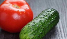小瓜可不可以和番茄吃,探寻健康美味的秘密