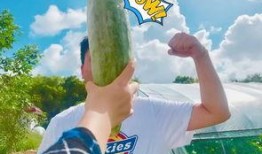 吃瓜群众瓜哥网红是谁,揭秘吃瓜群众心中的瓜界传奇