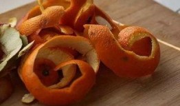 橘子将军吃瓜,橘子将军的瓜田奇遇记