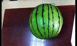 爱旅游吃瓜,一场说走就走的美食之旅