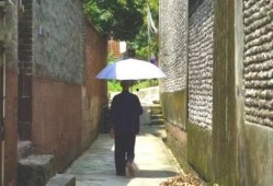 武康吃瓜事件,一场网络舆论的风暴与反思