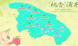 洋流吃瓜,揭秘海洋中的神秘瓜事