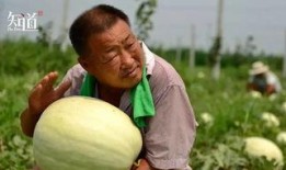 怎么拍吃瓜群众,揭秘街头摄影技巧