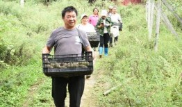 桐梓吃瓜事件,一场网络狂欢背后的真相与反思
