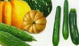 什么叫吃瓜信息,揭秘热点事件背后的真相与娱乐