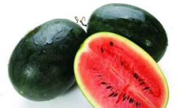 97520376 吃瓜,吃瓜群众的狂欢盛宴