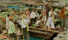 宜宾长宁吃瓜事件始末,一场网络舆论的风波与反思