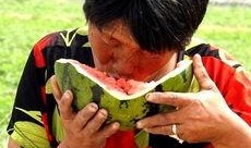 郑州老太太吃瓜,一场引发社会热议的街头奇观