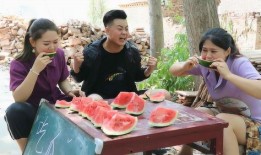 吃瓜比赛玩什么,一场别开生面的吃瓜比赛盛宴