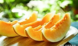 小蜜瓜可以怎么吃,创意吃法大盘点