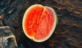 见观音吃瓜,一场奇妙的神秘之旅