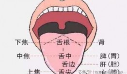 吃酥瓜舌头疼,头痛之谜待揭晓