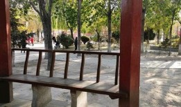 公园吃瓜栏,夏日休闲新去处