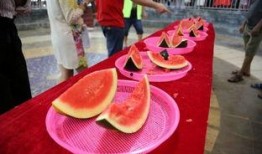 吃瓜比赛玩什么,一场别开生面的吃瓜比赛盛宴