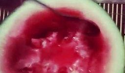 圆圆脸吃瓜,揭秘娱乐圈幕后故事