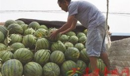 济宁市吃瓜,品味民俗风情