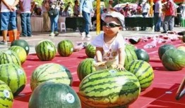 谁是吃瓜王,谁是娱乐圈的“吃瓜王”？