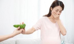 孕妇孕吐吃瓜,孕妇孕吐吃瓜攻略