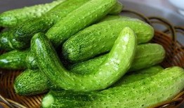 吃盉瓜上火,揭秘吃盉瓜上火的秘密与应对策略