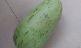 莎头吃瓜照片,揭秘明星莎头吃瓜瞬间