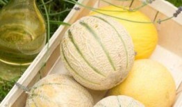 二壮吃瓜,揭秘娱乐圈幕后故事