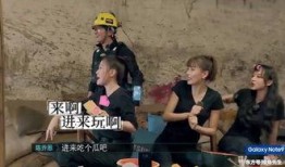 绝望吃瓜后续,揭开娱乐圈背后的惊人真相