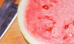 魔方小鱼吃瓜,一场吃瓜引发的奇幻冒险