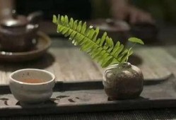 下午吃瓜不喝茶,茶香悠然待续