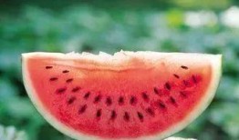 正确吃瓜,揭秘正确吃瓜的五大法则