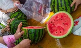 厦门吃瓜的视频,一网打尽本地特色美食瞬间