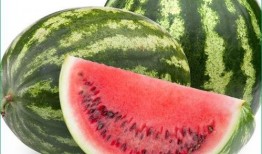 痛风可以吃瓜腾吗,营养与健康的平衡之道