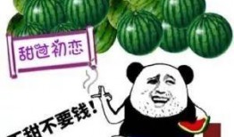 中原科技吃瓜,揭秘行业“吃瓜”背后的真相与启示