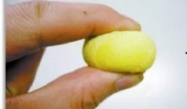 简称吃瓜,网络热词背后的社会现象