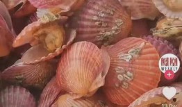 吃扇贝可以吃瓜么,吃扇贝时能吃瓜吗？揭秘饮食搭配奥秘