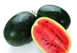 吃瓜该如何制作,轻松掌握制作美味瓜果秘诀