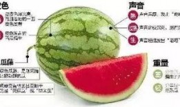 吃瓜微信入口,轻松获取热门资讯，畅享娱乐盛宴