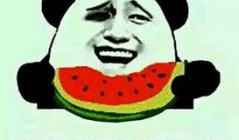 吃瓜群众表示大瓜的成语,揭秘“大瓜”背后的成语故事