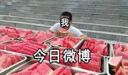 小杨爸爸吃瓜,小杨爸爸的瓜田奇遇记