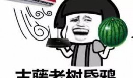 中原科技吃瓜,揭秘行业“吃瓜”背后的真相与启示