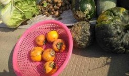 大妈吃瓜,揭秘娱乐圈幕后真相