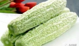 厦门吃瓜的视频,一网打尽本地特色美食瞬间