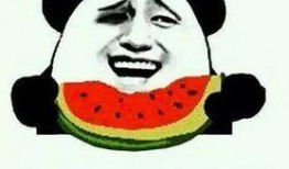 吃瓜吃到坏瓜怎么形容成语,从“吃瓜吃到坏瓜”看成语的巧妙运用与生活智慧