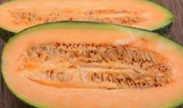 吃鹅可以吃哈密瓜吗,意想不到的美食组合探索