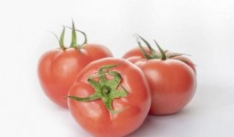 小瓜可不可以和番茄吃,探寻健康美味的秘密