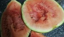 吃发霉瓜,吃出健康隐患的警示