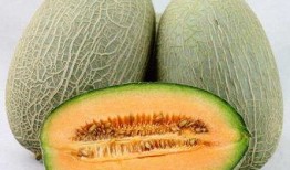 吃哈密瓜意思,尽享甜蜜滋味