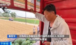 警嫂大妈有瓜吃,共建和谐社区新风尚