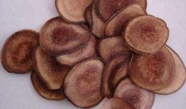 吃鹿茸片可以吃蒲瓜吗,食用搭配指南